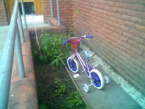 bicycle.jpg